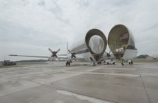 GuppyArrival9_m.jpg