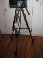 head & legs.jpg