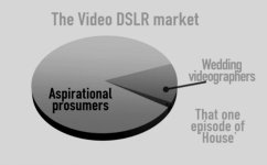 DSLR-Pie-Chart.jpg