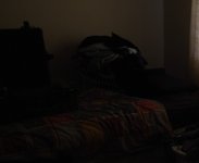 Day-ISO320.jpg Day-ISO320.jpg