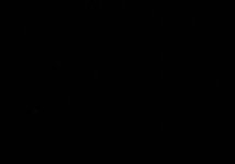 ND1.jpg ND1.jpg