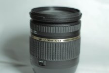 IMG_8118.jpg