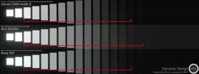 dynamic-range-C300-mark-ii-vs-fs7-vs-alexa_B.jpg