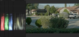 Varicam copy.jpg Varicam copy.jpg