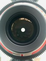 IMG_8293.jpg