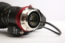 EL4A9131- 1600x1600.jpg