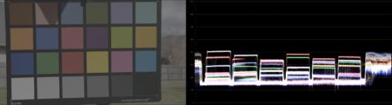 ProRes+LUT.jpg