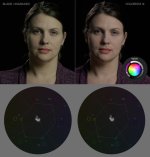 colorista adjust blade green.jpg