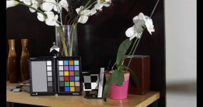 scene_vlog.jpg scene_vlog.jpg