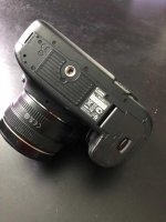 IMG_0540.jpg