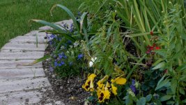 MOON Garden 1.jpg MOON Garden 1.jpg