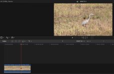 FCPX_XAVCSI.jpg