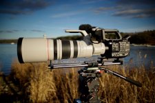 FS5-with-Canon200-400.jpg FS5-with-Canon200-400.jpg