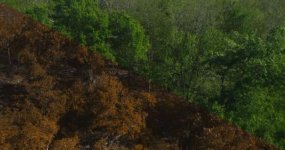 Color Correction.jpg Color Correction.jpg