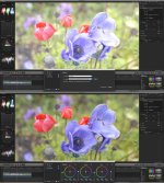 Leeming-VLOG-Test-2.jpg Leeming-VLOG-Test-2.jpg