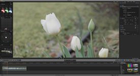 PanasonicREC709-VLOG-Test-3.jpg