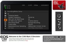 Canon C300 Mark II Menu Simulator Texas Media Systems.JPG