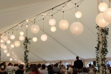 festoon2.jpg festoon2.jpg