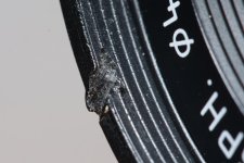8L2A1754.jpg