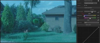 browse green tint.jpg
