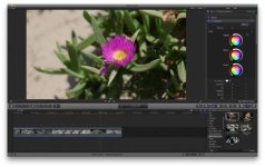 Colorista_FCPX.jpg