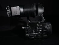 evf.jpg