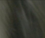 Screen Shot 2018-07-23 at 9.18.28 PM.jpg