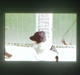 img037.jpg