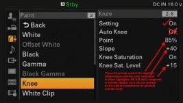 Knee 01+.jpg
