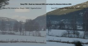 Test-fs5-internal-vs-inferno-landskap.jpg