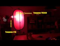 bts low red light.jpg