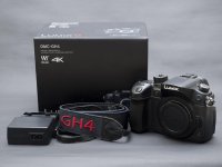 gh4 bodySM.jpg