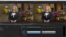 Premiere Pro Bridget grade.jpg Premiere Pro Bridget grade.jpg