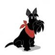 scotchdog
