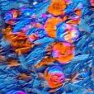 Thelake