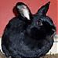 tweakybunny