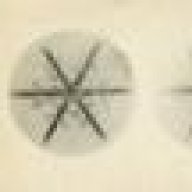 lestimides