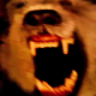 dharmaheuristic