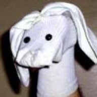 dogglebe