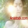 Anistock