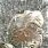 wraith_13