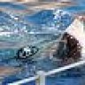 Sharkshooter