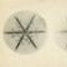 lestimides