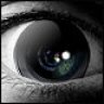black iris