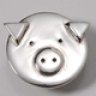 silverpig