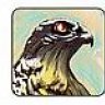 GerfalconCP