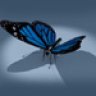 bLueButterfLy