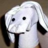 dogglebe