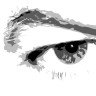 steadivision