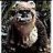 wicket